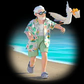 Seagull Showdown/海鸥对决(10000Coins)