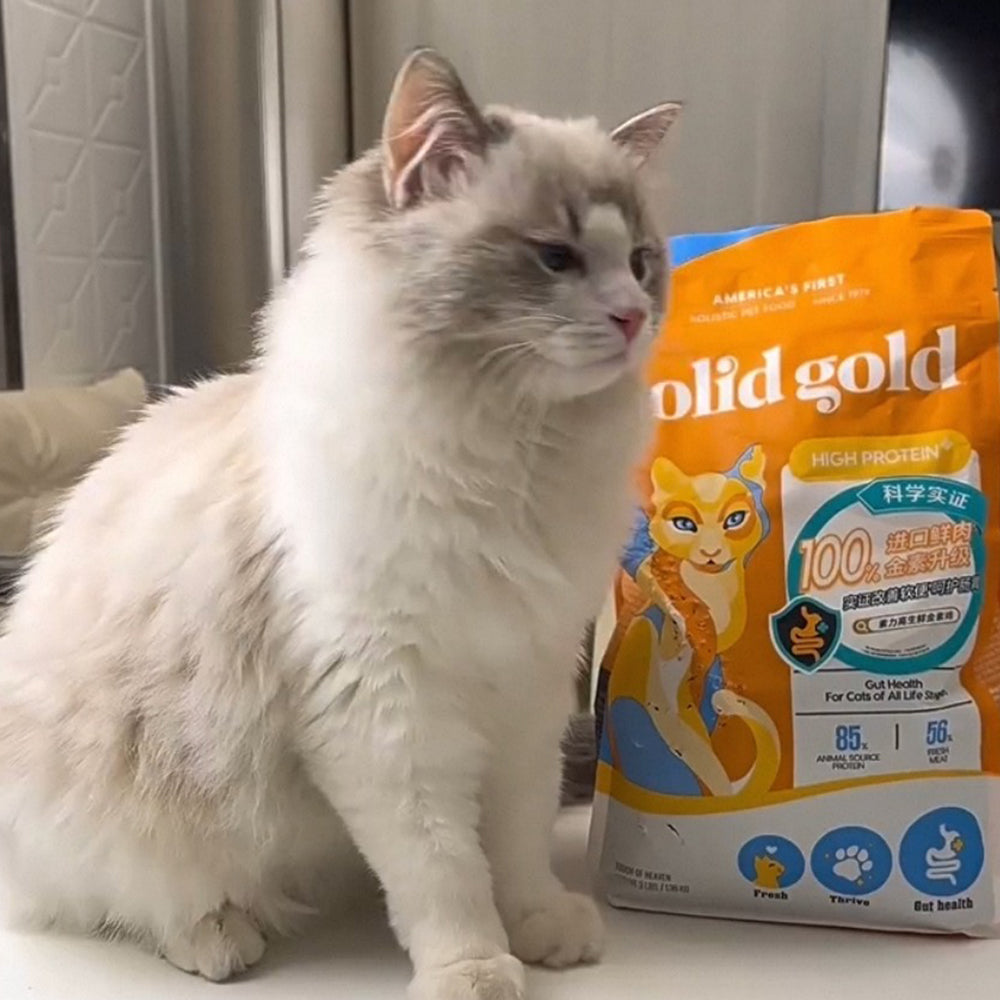 3kg de comida para gatos